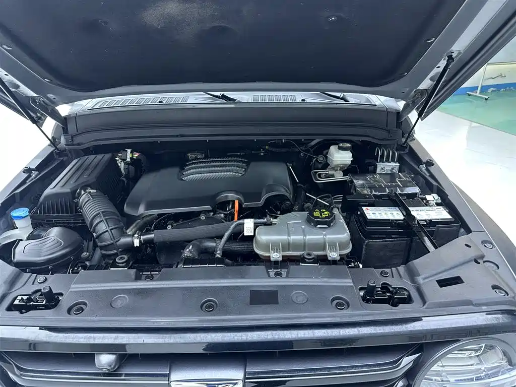Tank 300 2024 2.0T Challenger