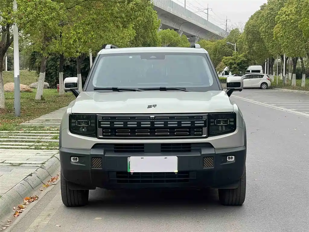 Jetour Shanhai T1 2024 150km Xianghai