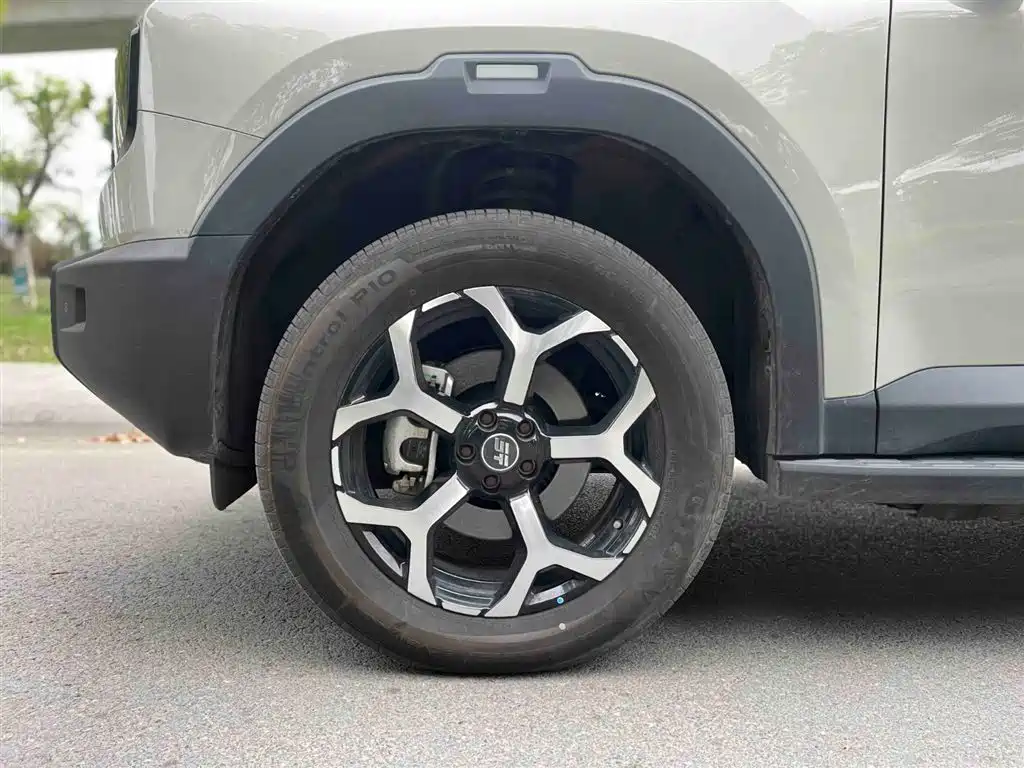 Jetour Shanhai T1 2024 150km Xianghai
