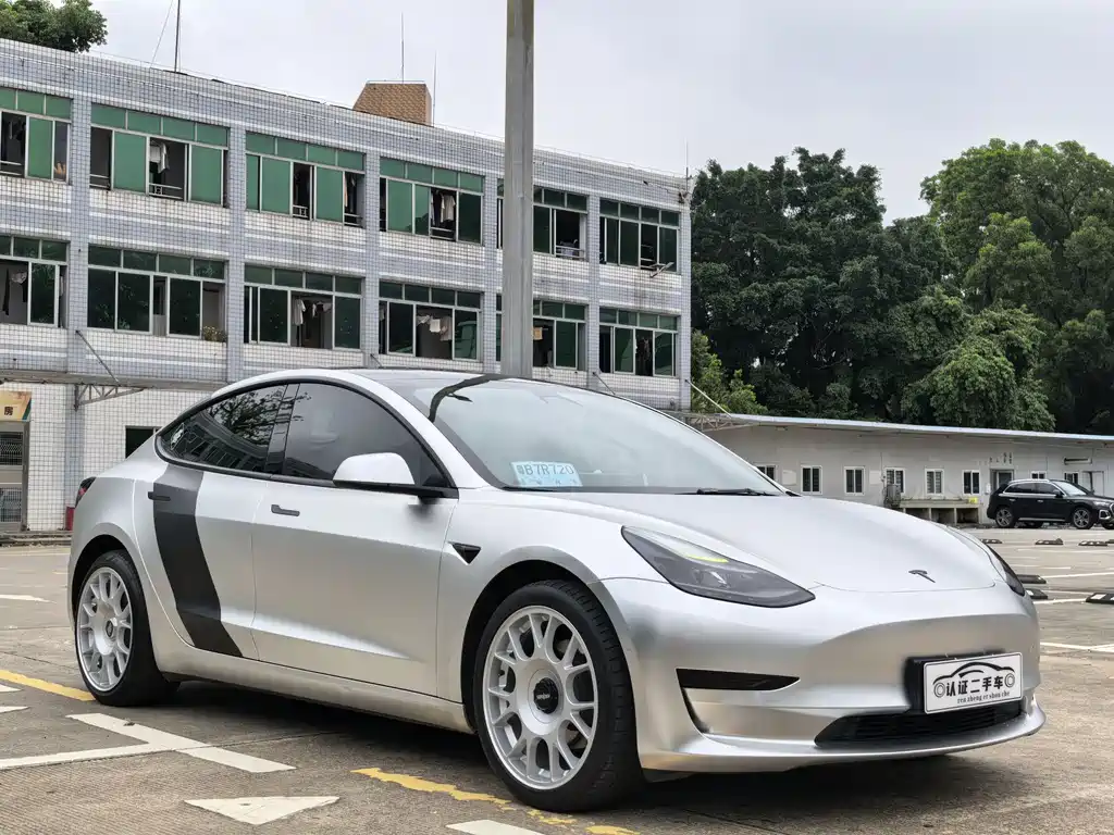 Tesla Model 3 2021 Standard Range Plus Rear-Wheel Drive 3D6