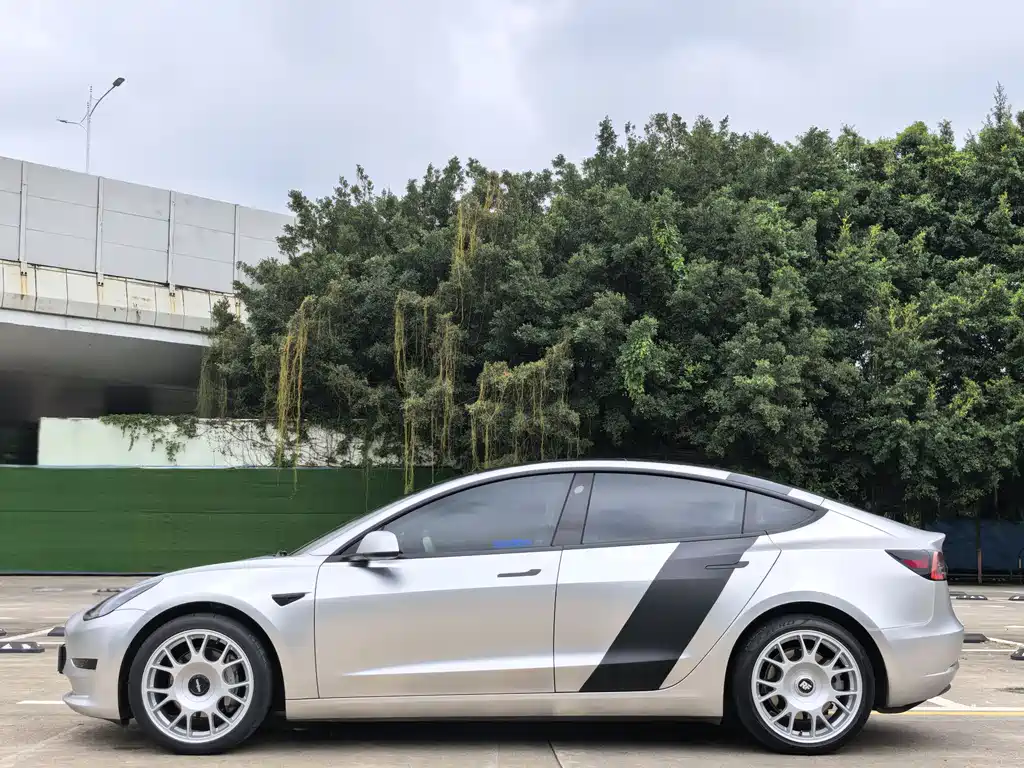 Tesla Model 3 2021 Standard Range Plus Rear-Wheel Drive 3D6