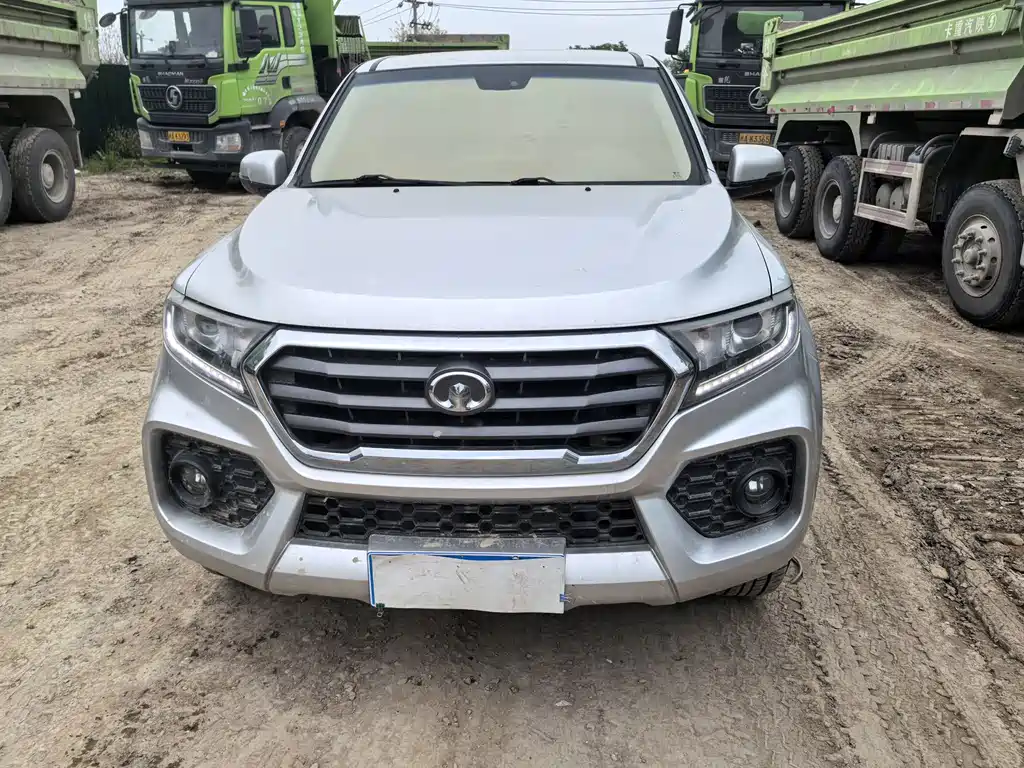 Great Wall Poer 7