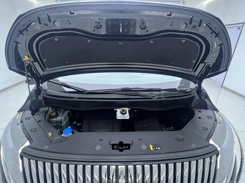 WEY Gaoshan 2025 AWD Gaoshan 9