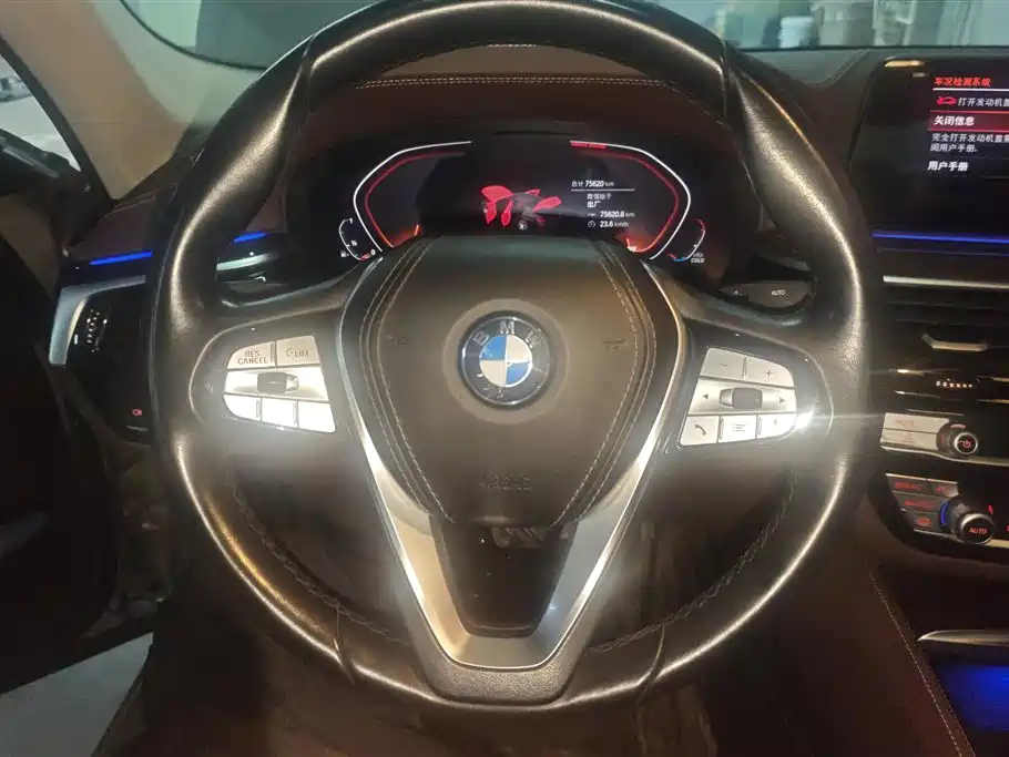 BMW 5 Series 2020 525Li Luxury Package - фото 15