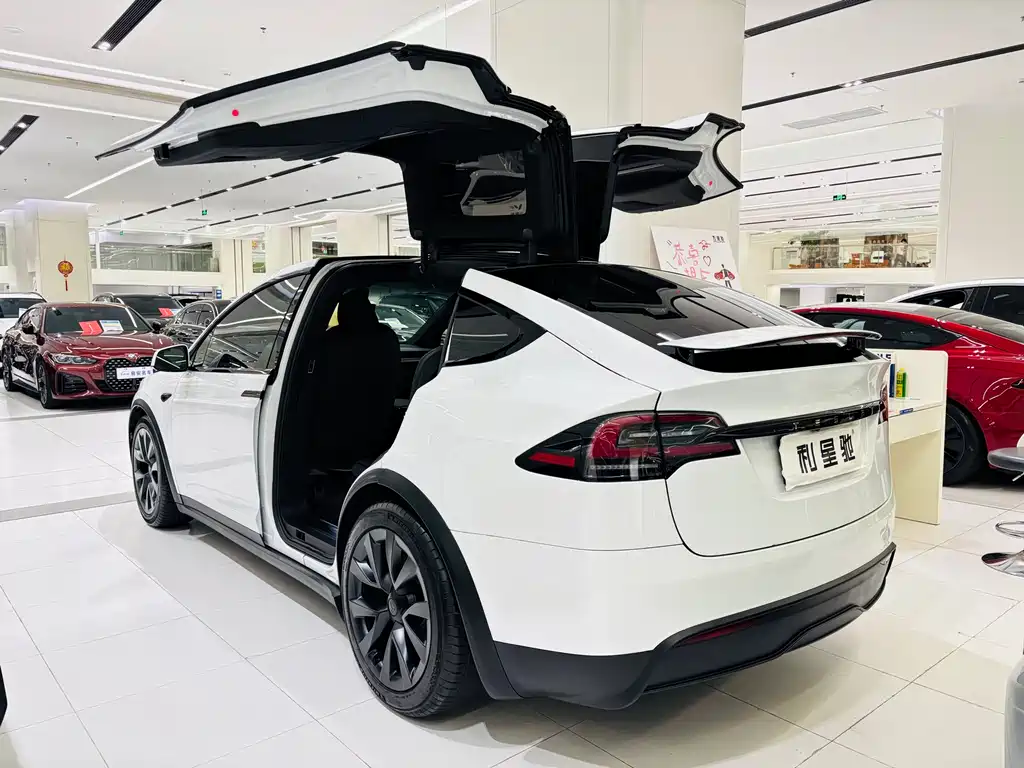 Tesla Model X Dual Motor All-Wheel Drive 2023
