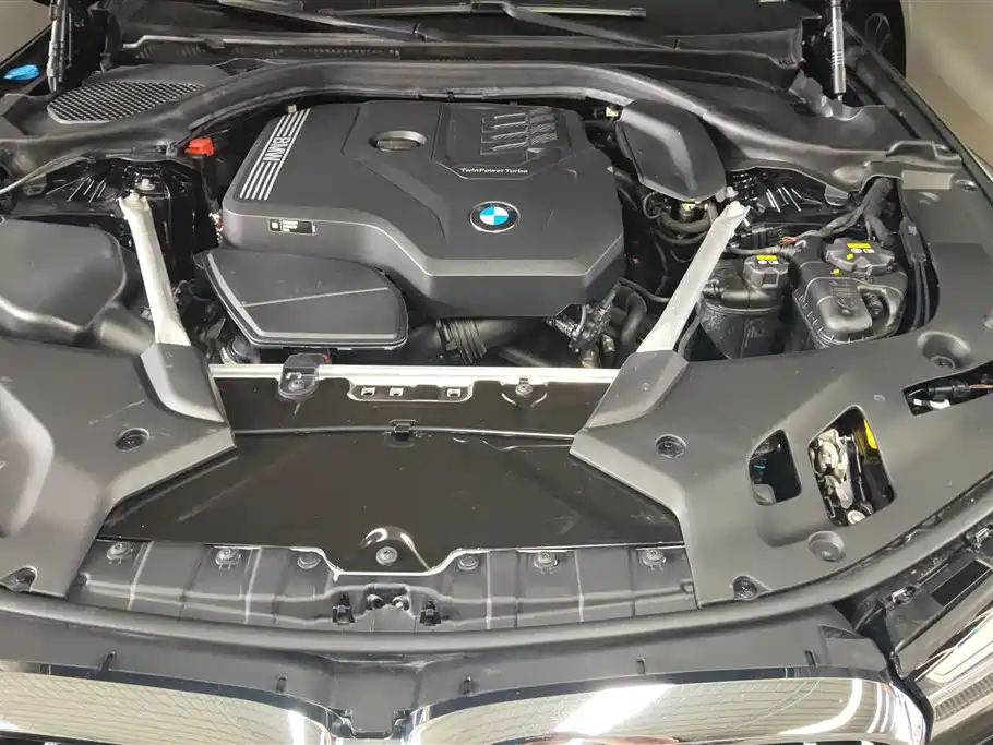 BMW 5 Series 2021 Facelift 530Li Leading Edition M Sport Package - фото 10