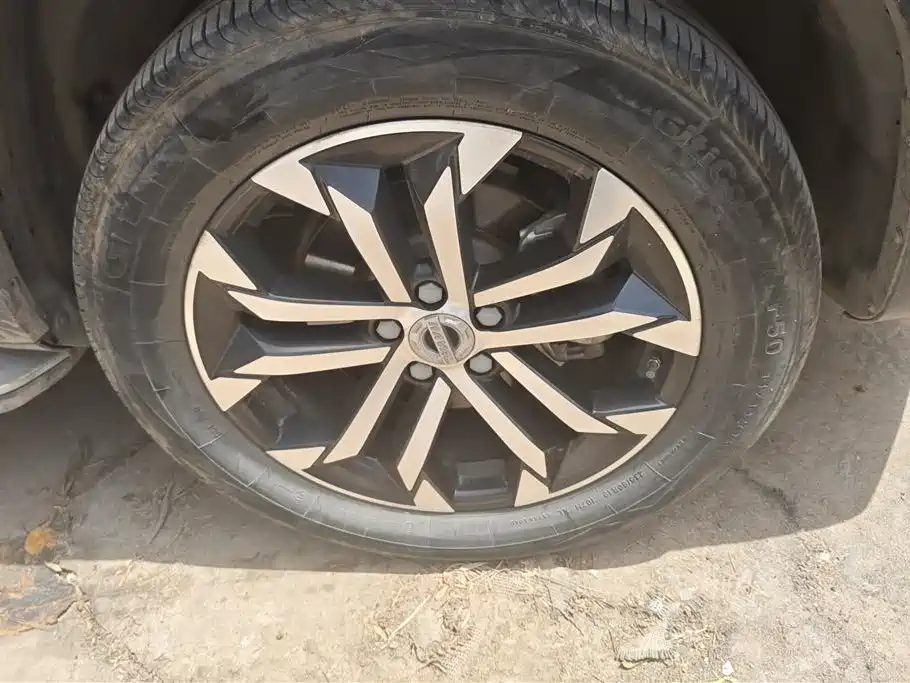 Haval Big Dog 2022 1.5T DCT 2WD Border Collie Edition