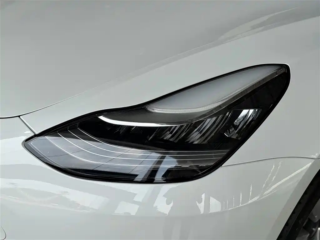 Model 3 2019 Standard Range Plus RWD