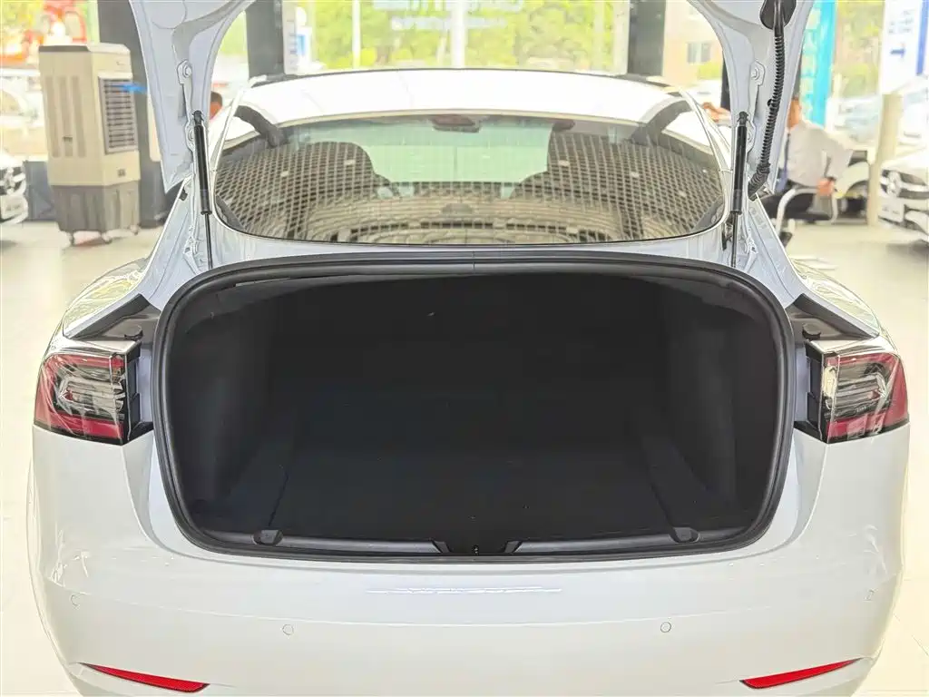 Model 3 2019 Standard Range Plus RWD