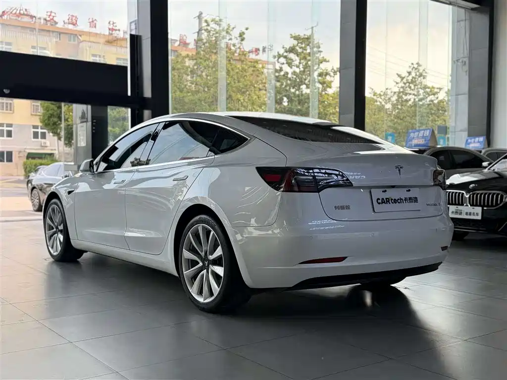 Model 3 2019 Standard Range Plus RWD