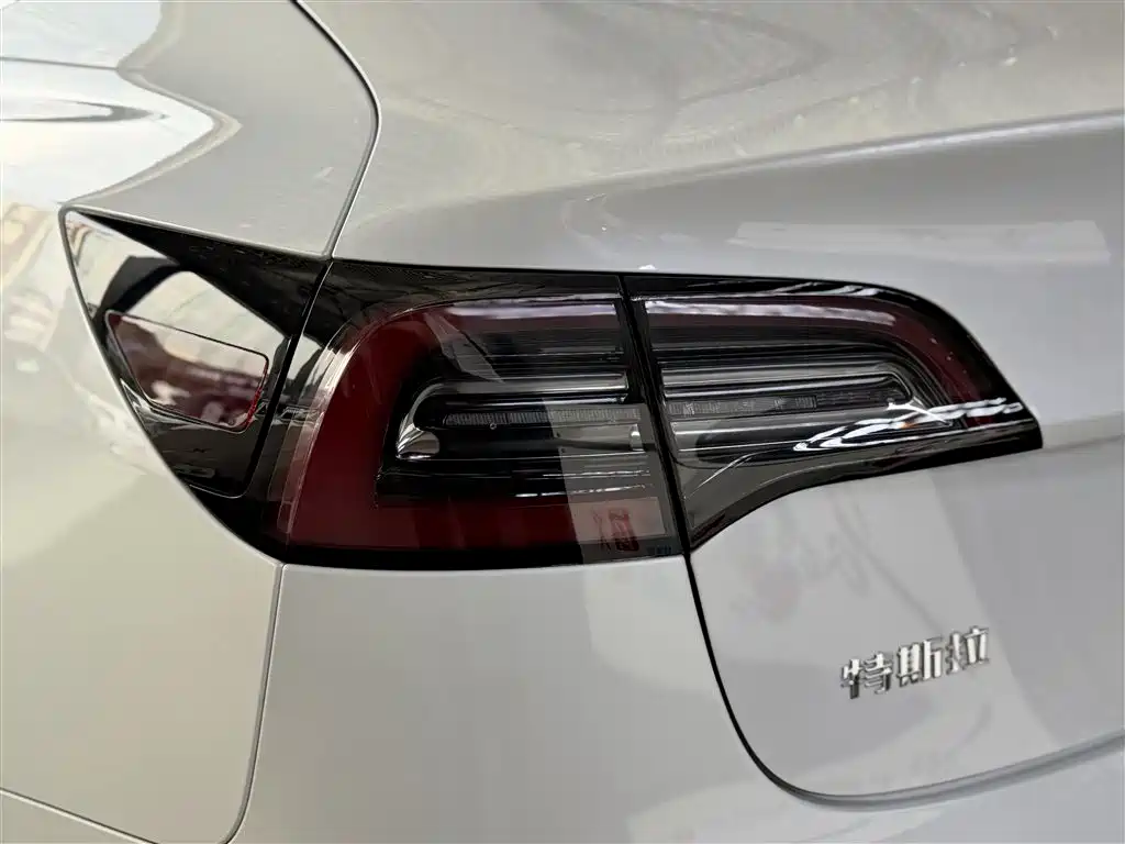 Model 3 2019 Standard Range Plus RWD