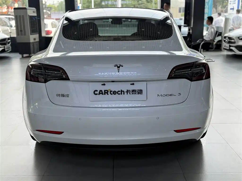 Model 3 2019 Standard Range Plus RWD