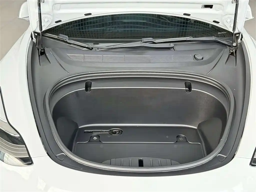 Model 3 2019 Standard Range Plus RWD