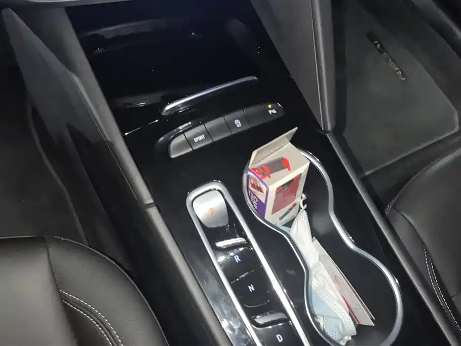 Regal 2024 Facelift 28T Zongxiang Edition