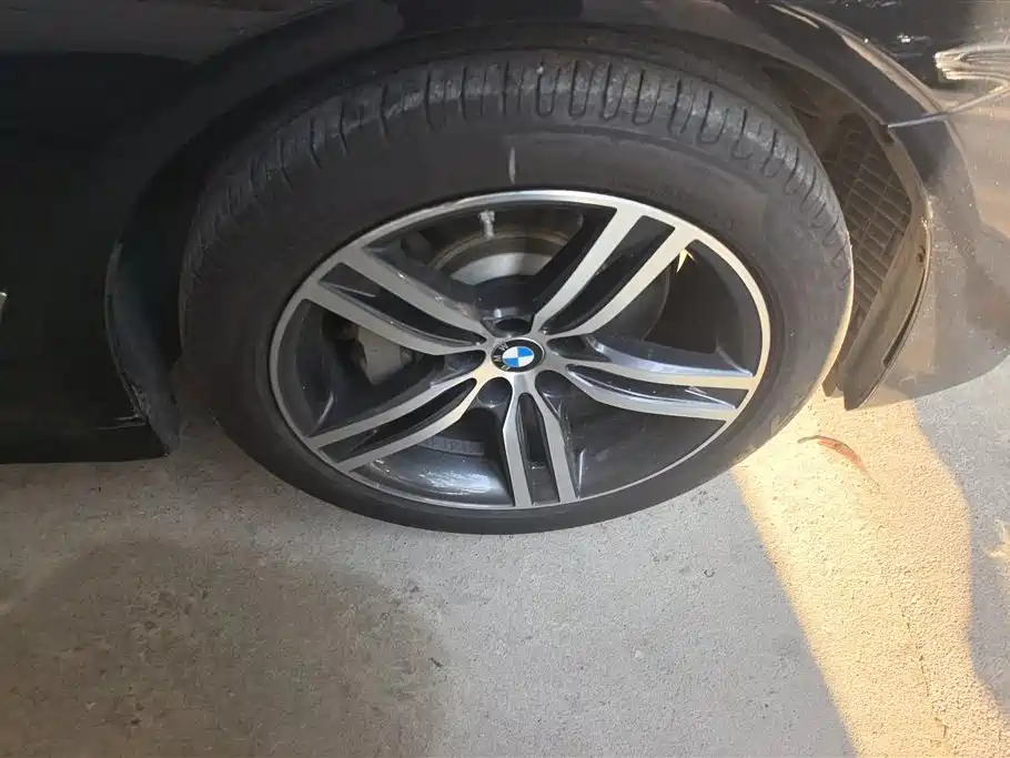 BMW 5 Series 2021 530Li xDrive Luxury Package - фото 6