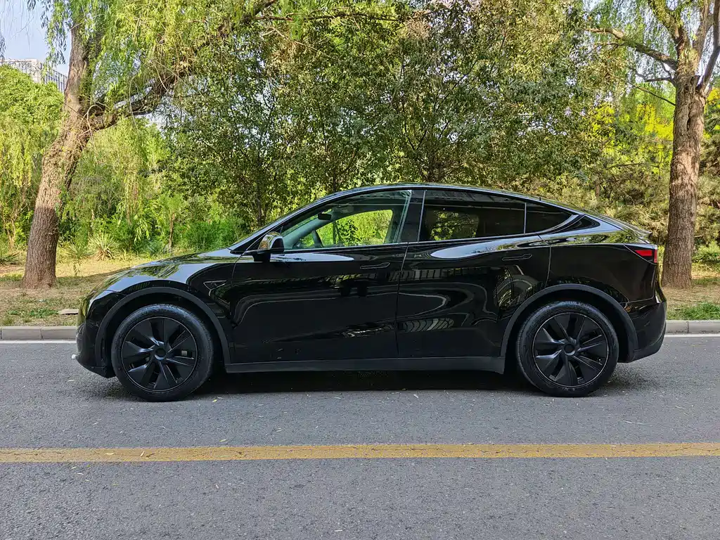 Model Y 2023 Rear-Wheel Drive