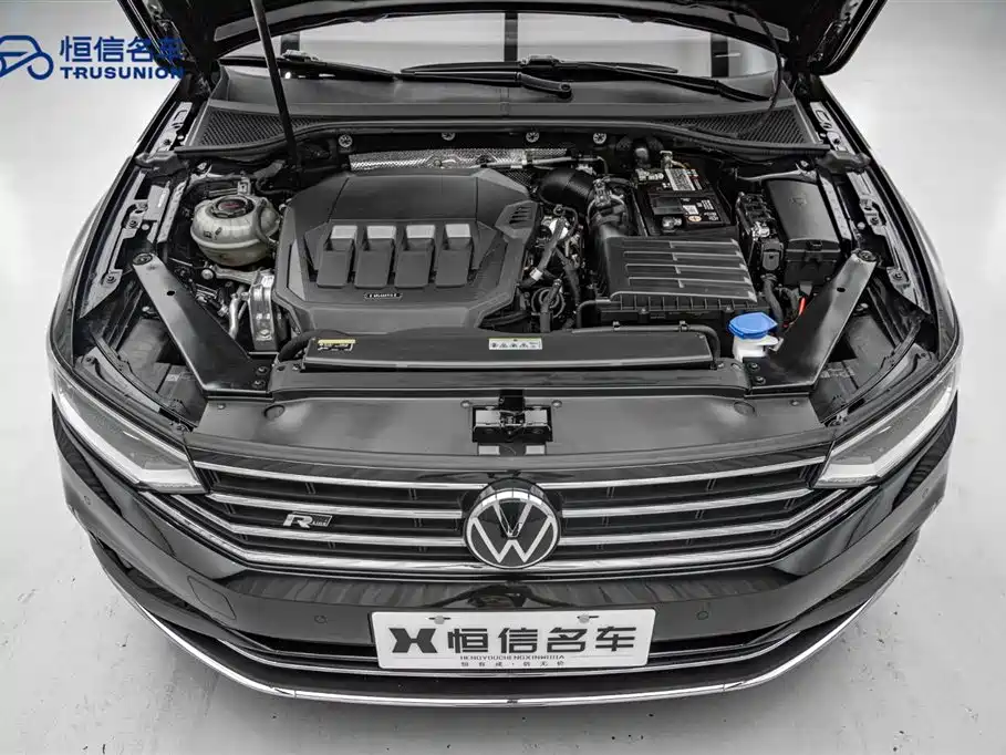 Magotan 2020 330TSI DSG Leading Edition