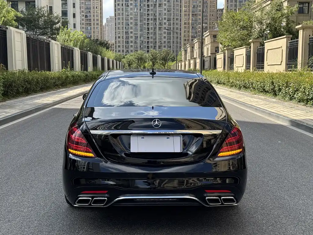 Mercedes-Benz S-Class 2020 S 350 L Business Edition Zhenzang Edition
