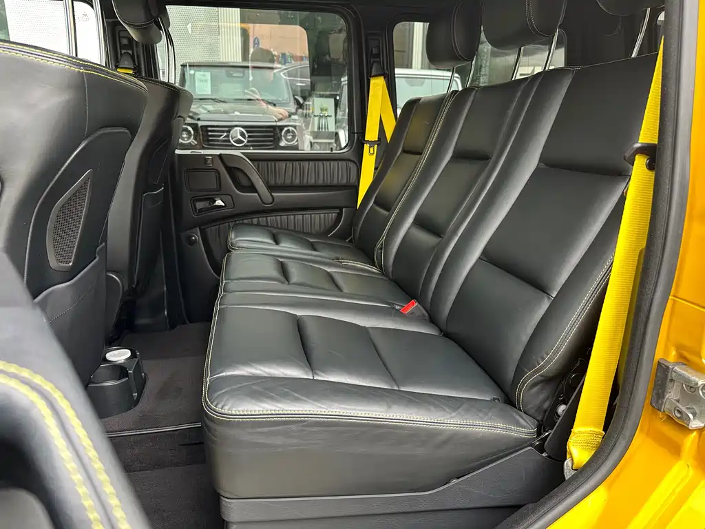 Mercedes-Benz AMG G 63 Wild Limited Edition 2015
