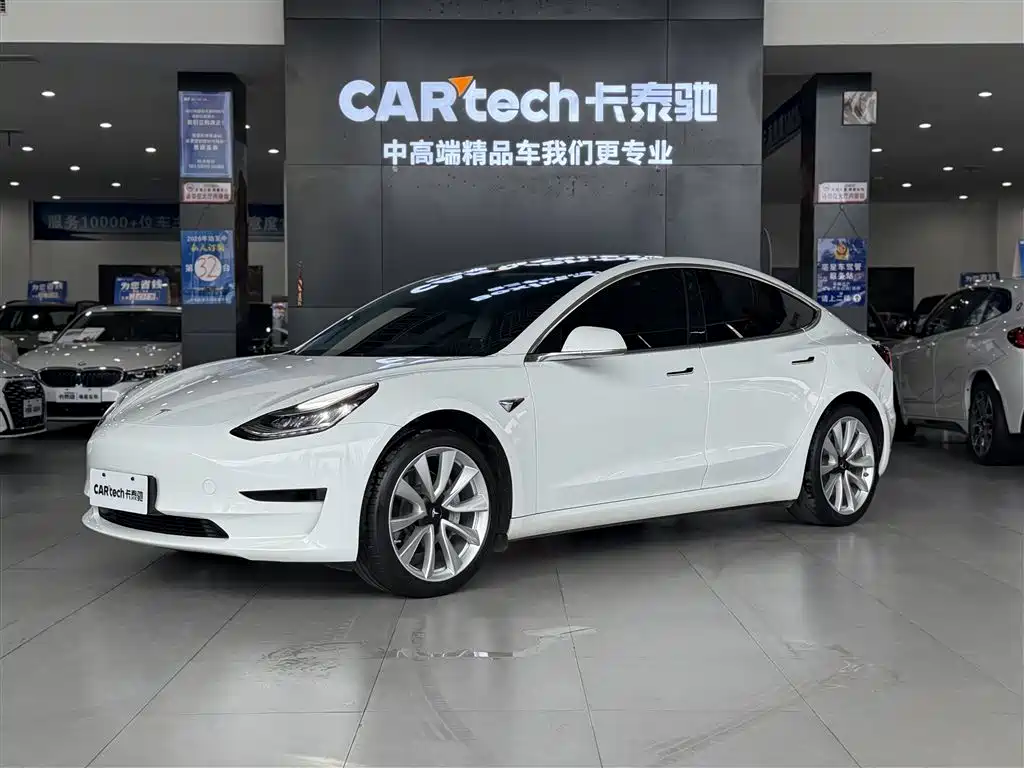 Model 3 2019 Standard Range Plus RWD