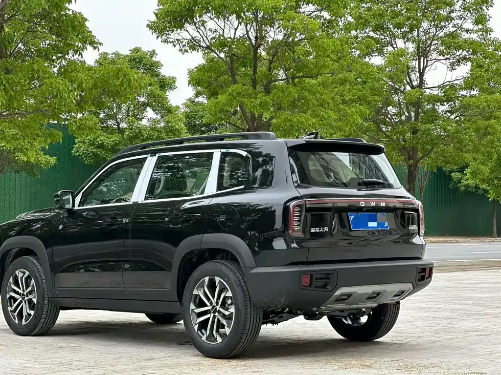 Haval Big Dog 2026 1.5T DCT Border Collie Edition