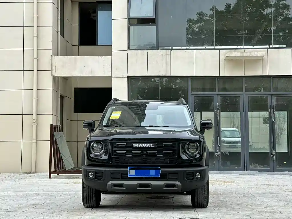 Haval Big Dog 2026 1.5T DCT Border Collie Edition