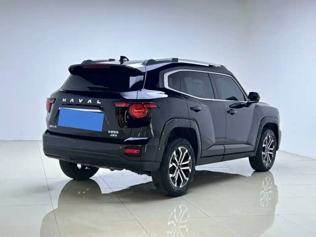 Haval Big Dog 2024 2.0T DCT Chinese Rural Dog Edition