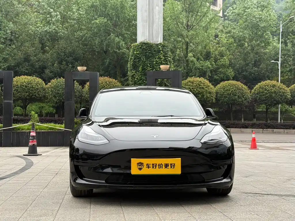 Tesla Model 3 2021 Standard Range Plus RWD
