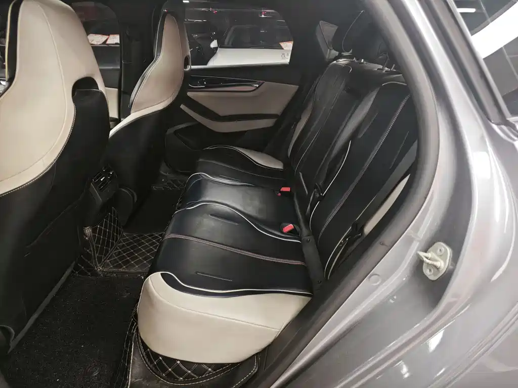 BYD Qin PLUS 2021 EV 500KM Luxury Edition