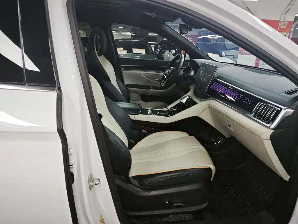 BYD Song PLUS EV 2021 Flagship