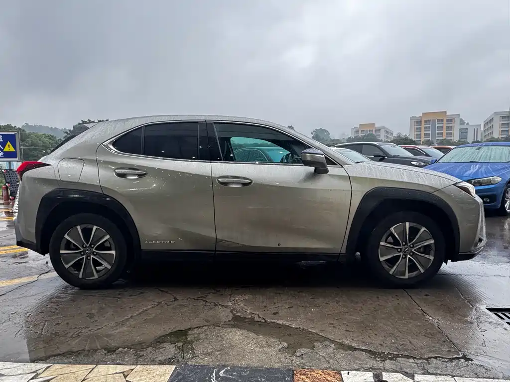 Lexus UX 300e
