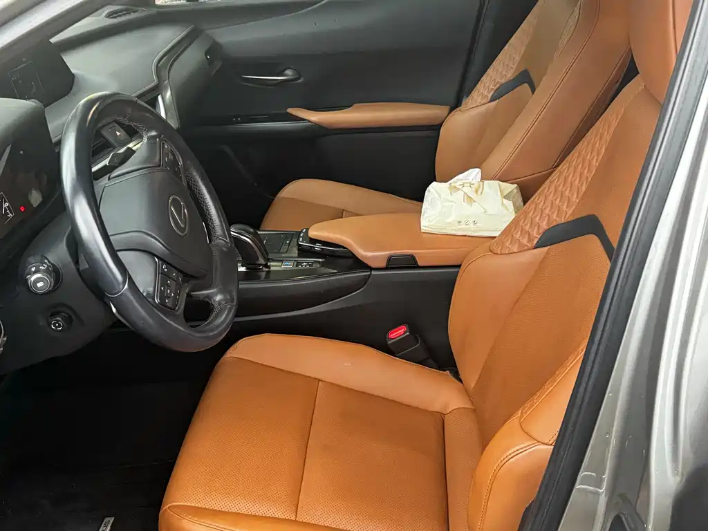 Lexus UX 300e