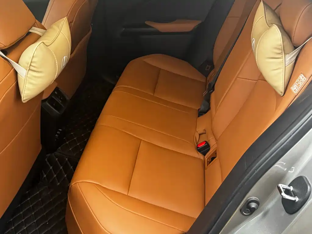 Lexus UX 300e