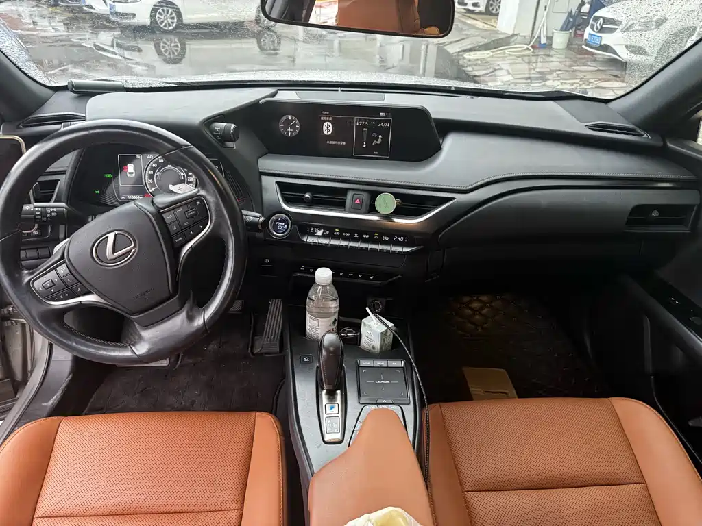Lexus UX 300e