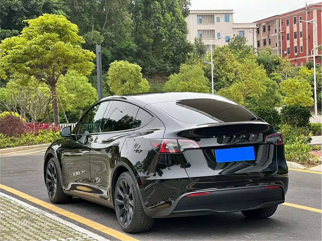 Tesla Model Y 2022 Rear-Wheel Drive