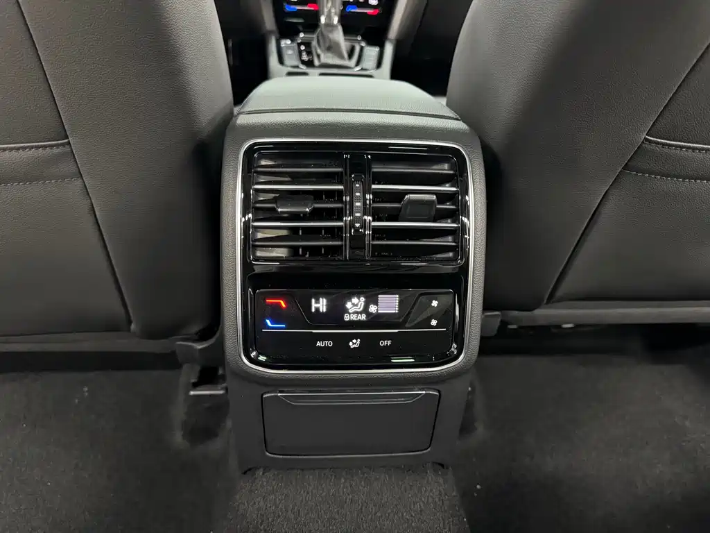 Volkswagen Magotan 2021 330TSI DSG 30th Anniversary Edition
