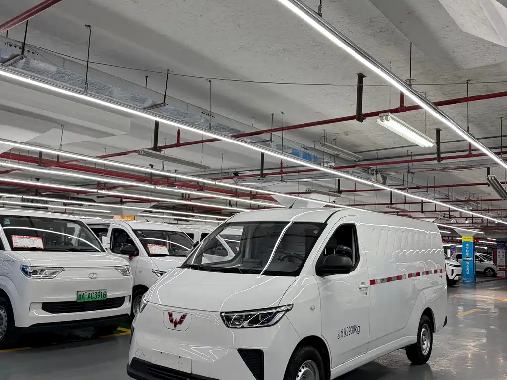 Wuling Yangguang 2024 300km Comfort Edition Panel Van 60kW