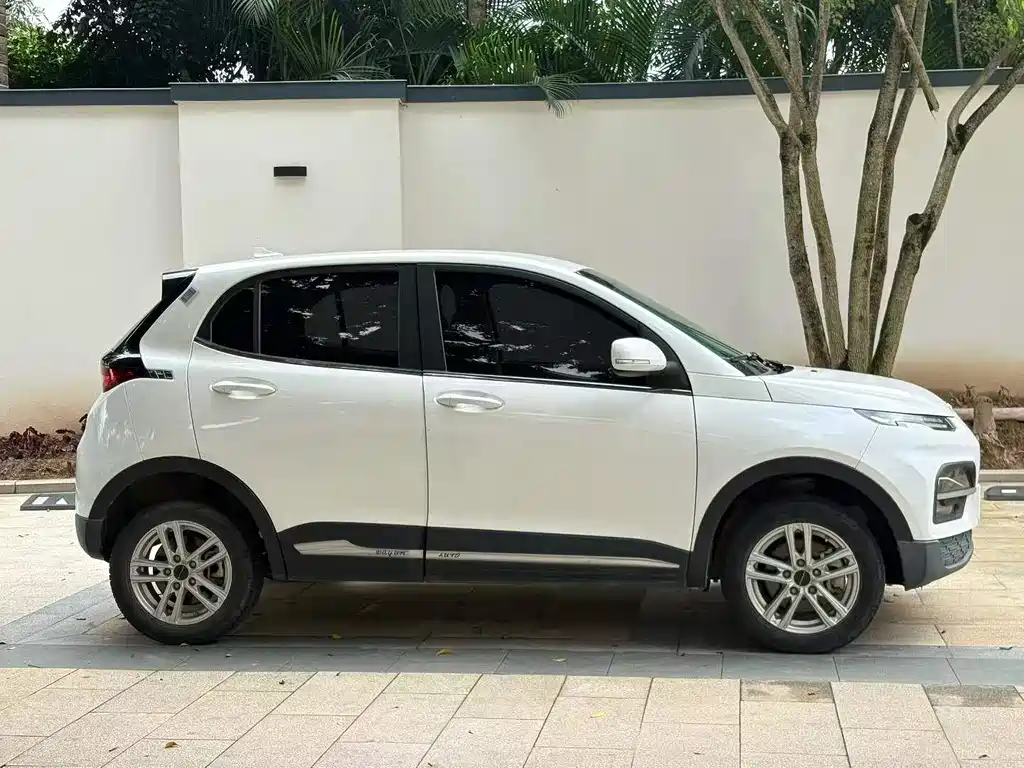 Yuehu 2023 300 Standard Edition