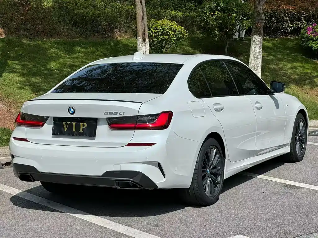 BMW 3 Series 2020 325Li M Sport Night Edition - фото 9