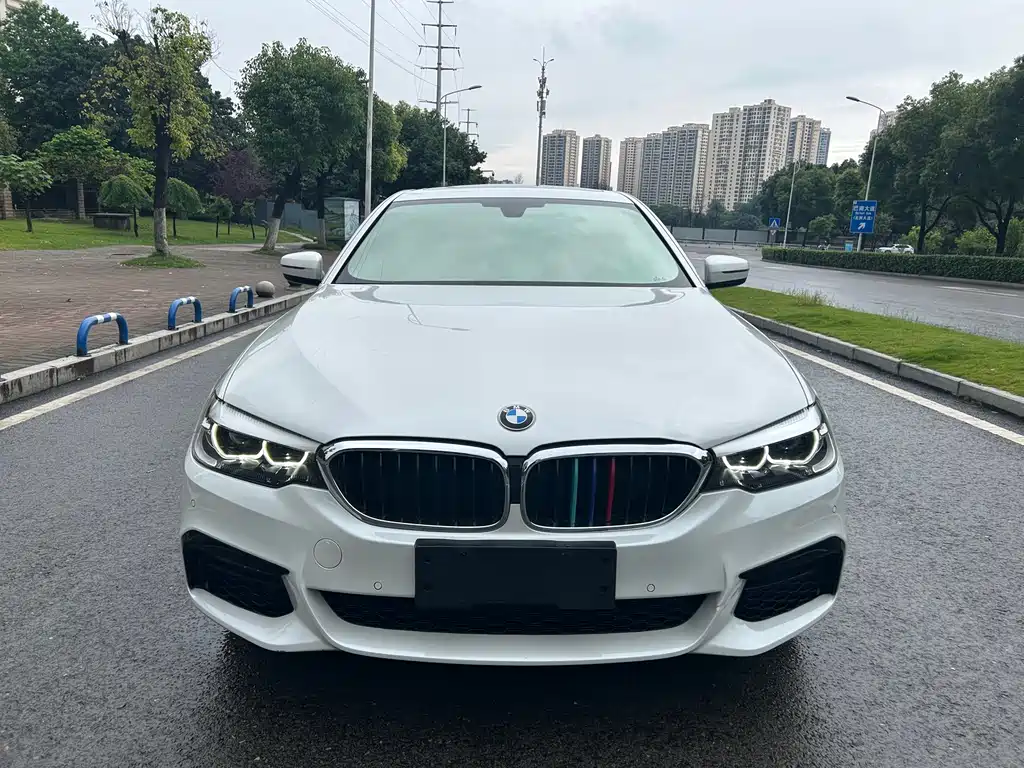 BMW 5 Series 2019 530Li xDrive M Sport Package