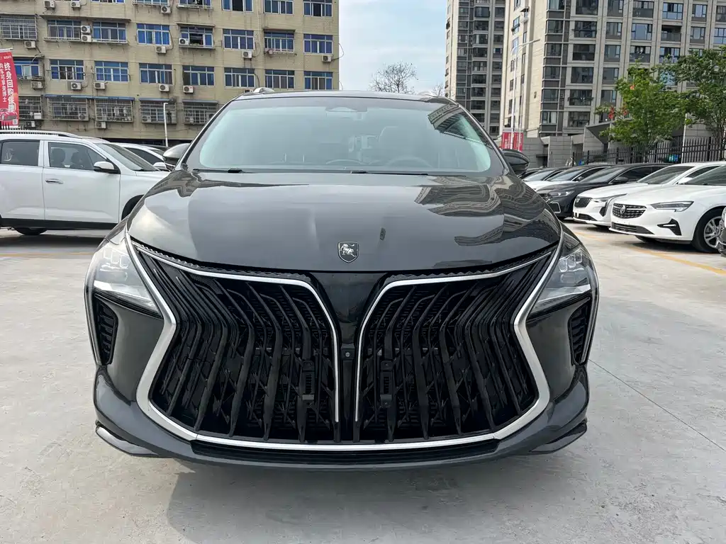 Forthing Yacht 2022 1.5T DCT Set Sail Edition