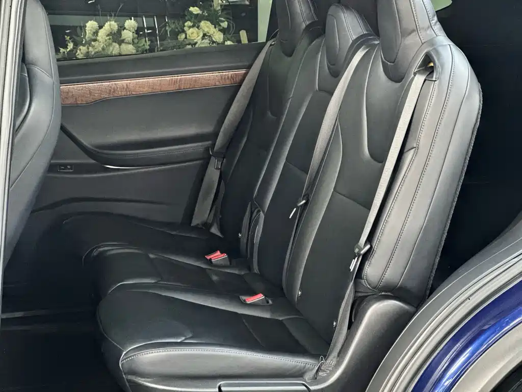 2016 Tesla Model X 75D