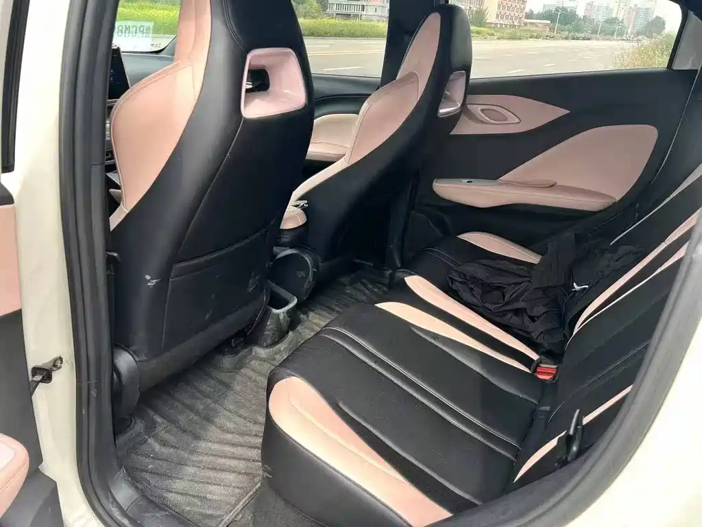 Seagull 2025 Intelligent Driving Edition 305km Vitality Edition