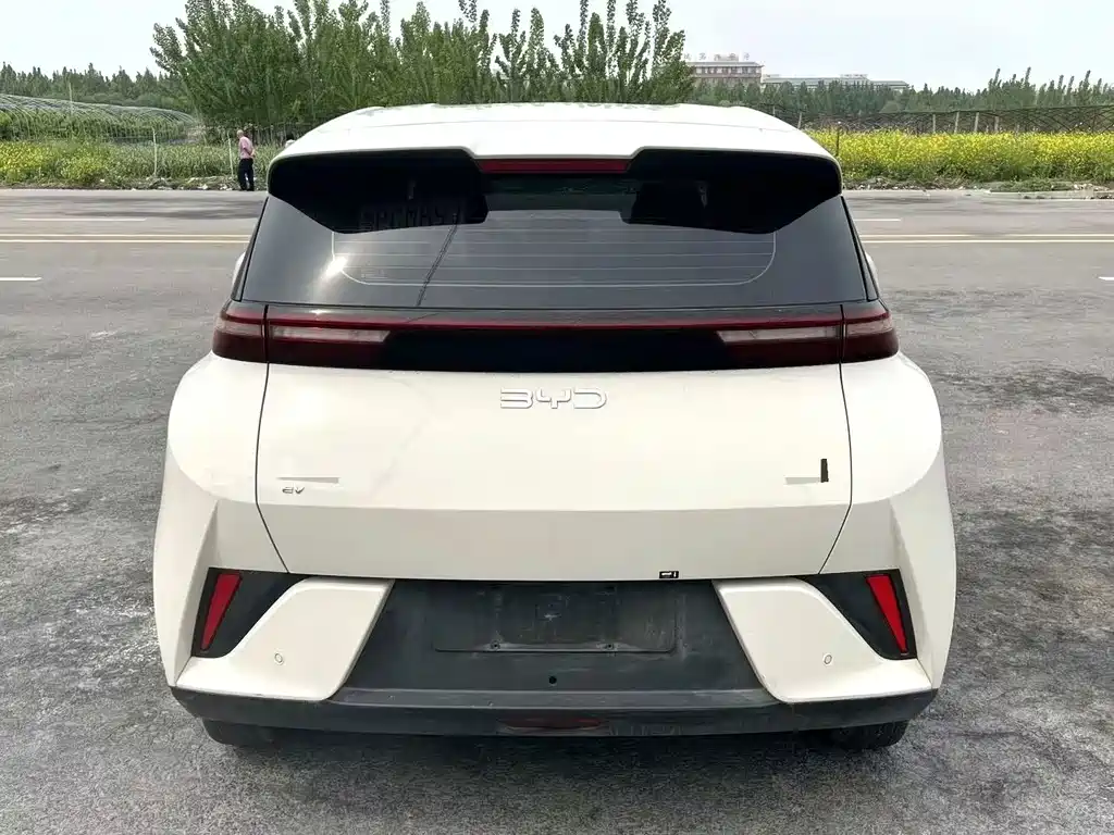 Seagull 2025 Intelligent Driving Edition 305km Vitality Edition