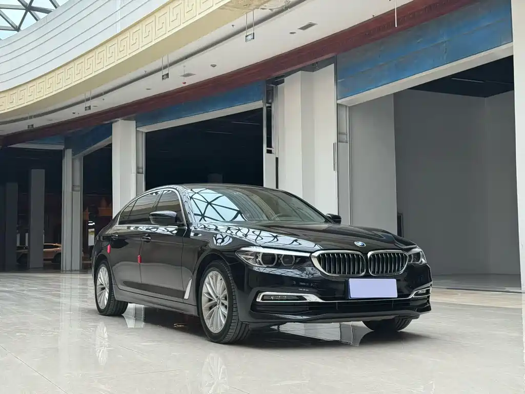 BMW 5 Series 2019 530Li Leading Edition Luxury Package