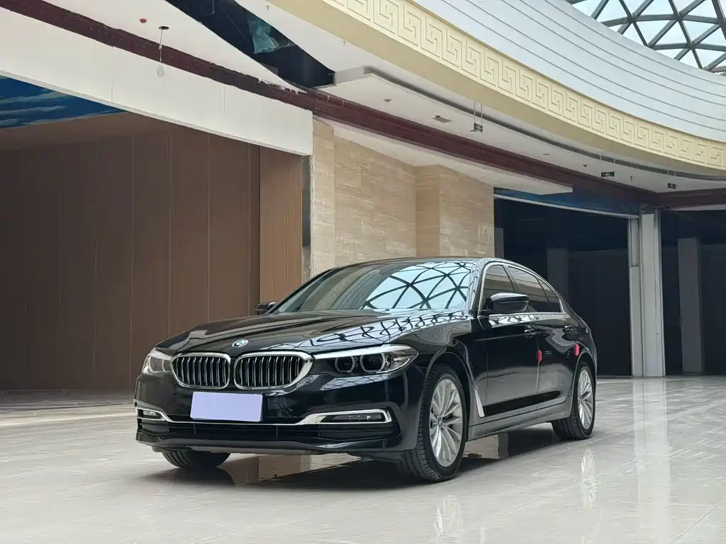 BMW 5 Series 2019 530Li Leading Edition Luxury Package