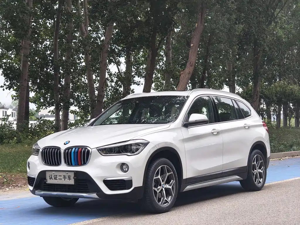 BMW X1 2019 sDrive18Li Premium Edition