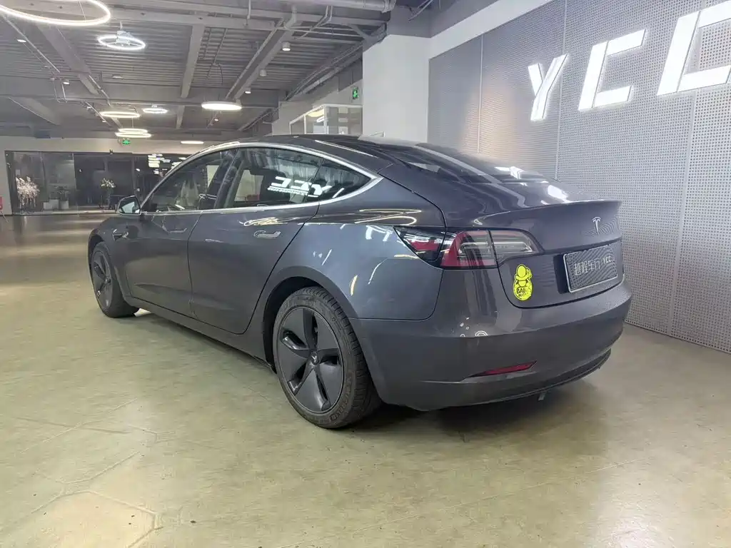 Model 3 Import 2019 Long Range Rear-Wheel Drive
