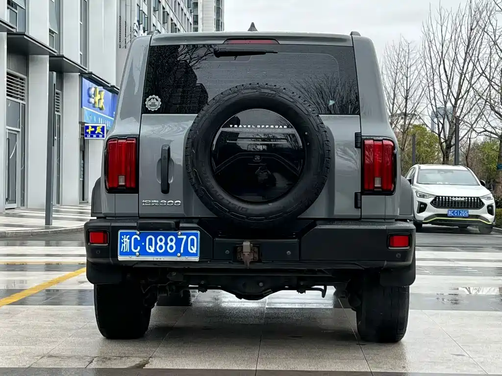 Tank 300 2021 Off-Road Edition 2.0T Conqueror