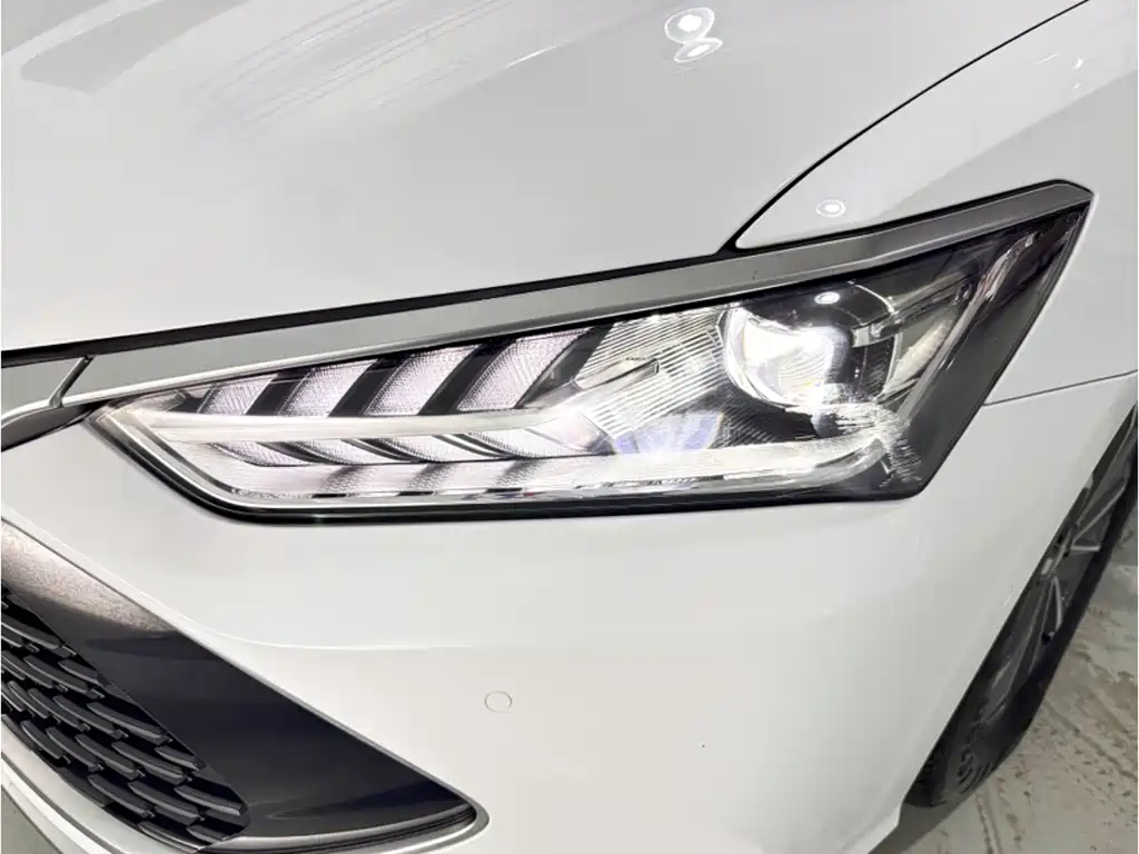 BYD Qin PLUS 2024 Honor Edition DM-i 55KM Leading